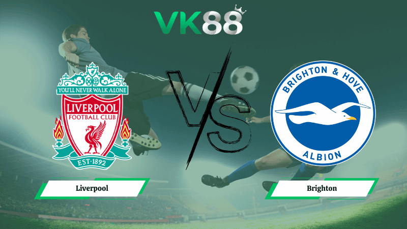 VK88 Nhận định soi kèo Liverpool vs Brighton 03h00 ngày 15/02/2026 – FA Cup